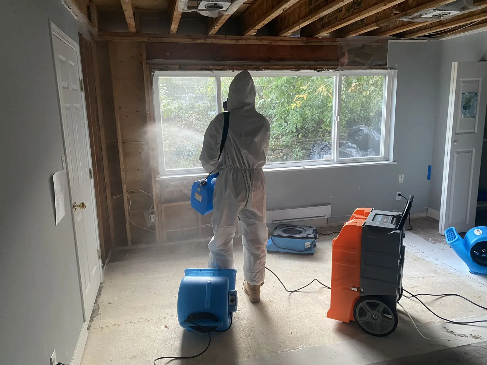 Treatment and drying underway